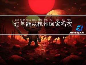 过年能从杭州回家吗农村