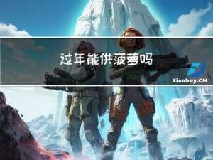 过年能供菠萝吗