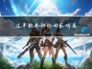 过年能养动物回家吗属虎