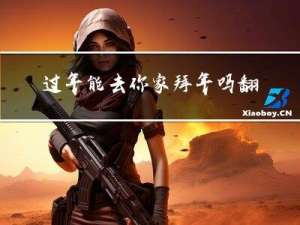 过年能去你家拜年吗翻译