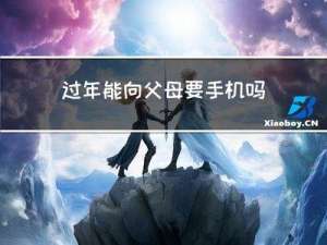 过年能向父母要手机吗女