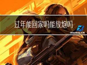 过年能回家吗能放炮吗