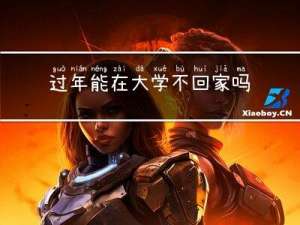 过年能在大学不回家吗小说