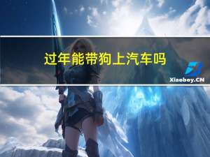 过年能带狗上汽车吗