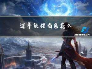 过年能摆白色花么