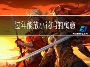 过年能放小花吗的寓意