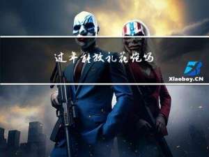 过年能放礼花炮吗
