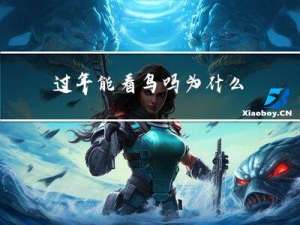 过年能看鸟吗为什么