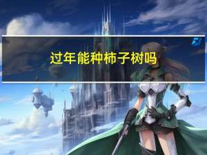 过年能种柿子树吗