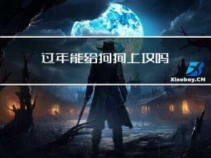 过年能给狗狗上坟吗