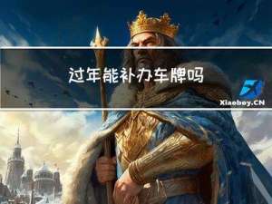 过年能补办车牌吗