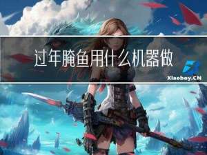 过年腌鱼用什么机器做