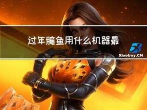 过年腌鱼用什么机器最好