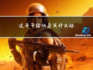 过年节给领导买什么好