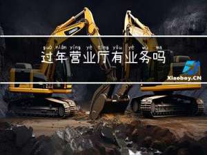过年营业厅有业务吗