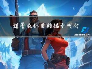 过年衣柜里的裙子叫什么