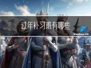 过年补习班有哪些