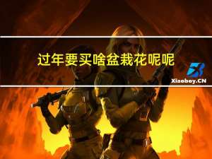 过年要买啥盆栽花呢呢