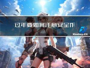 过年要如何注意安全作文