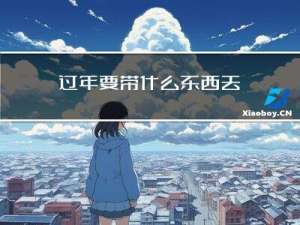 过年要带什么东西去