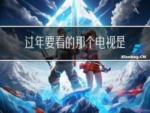 过年要看的那个电视是什么