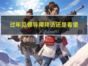 过年见领导用拜访还是看望