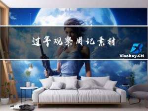 过年观察周记素材