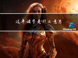 过年调节是什么意思