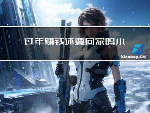 过年赚钱还要回家吗小说