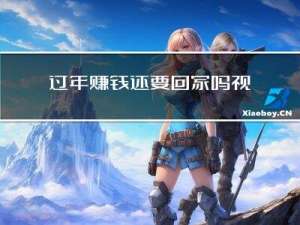 过年赚钱还要回家吗视频