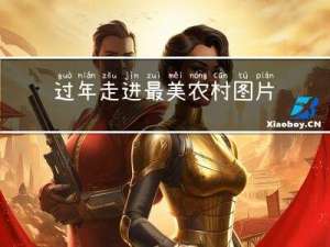 过年走进最美农村图片大全