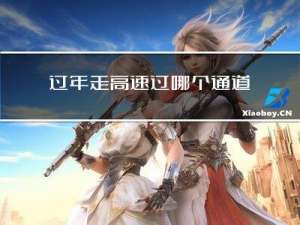 过年走高速过哪个通道