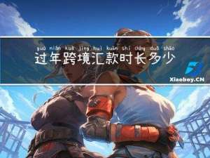 过年跨境汇款时长多少