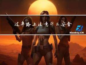 过年路上注意什么安全