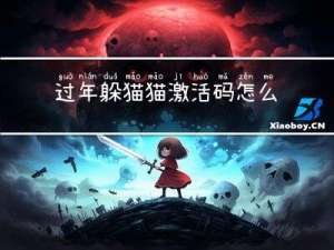 过年躲猫猫激活码怎么用
