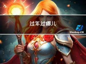 过年过哪儿