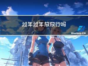 过年过年放放行吗