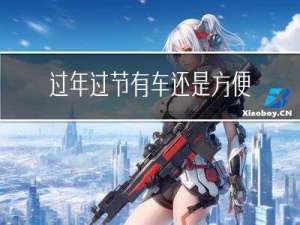 过年过节有车还是方便的