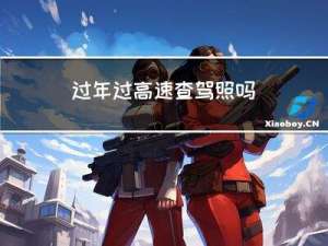 过年过高速查驾照吗