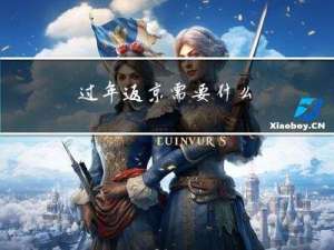 过年返京需要什么