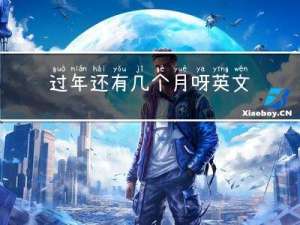 过年还有几个月呀英文