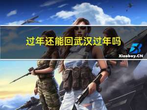 过年还能回武汉过年吗