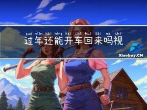 过年还能开车回来吗视频