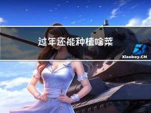 过年还能种植啥菜