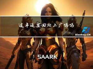 过年还要回北上广吗吗