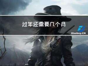 过年还需要几个月