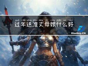 过年送准丈母娘什么好