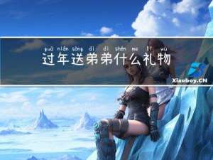 过年送弟弟什么礼物