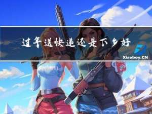 过年送快递还是下乡好