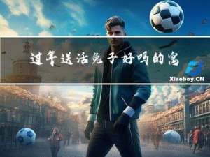 过年送活兔子好吗的寓意